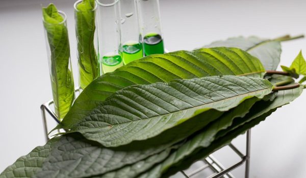 What Can I Use Kratom Extract For? 3 Great Ideas